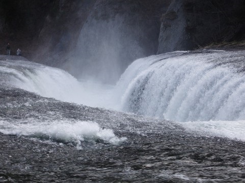 ��჌�t�J�����Ŏʐ^���B��S�\��