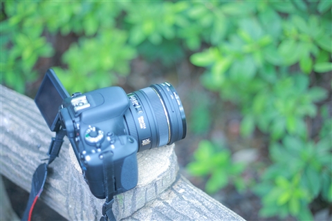 ��჌�t�J�����̗��K